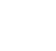 player-icon