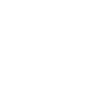 player-icon