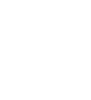 player-icon