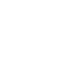 player-icon